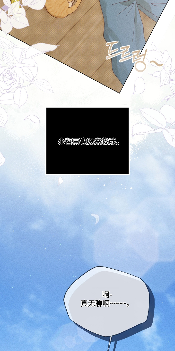 第22章：再也没有找我4