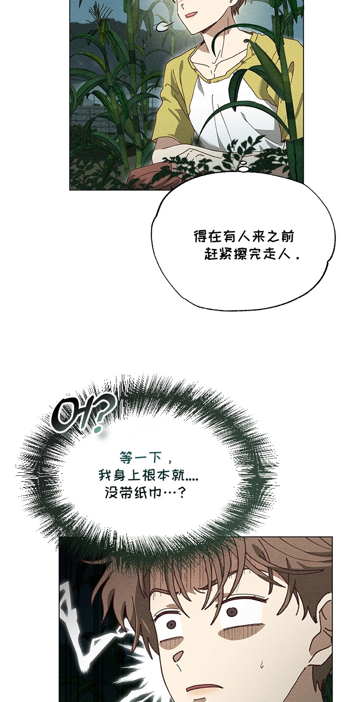 都市美男下乡记介绍漫画,第4章：没带纸5图