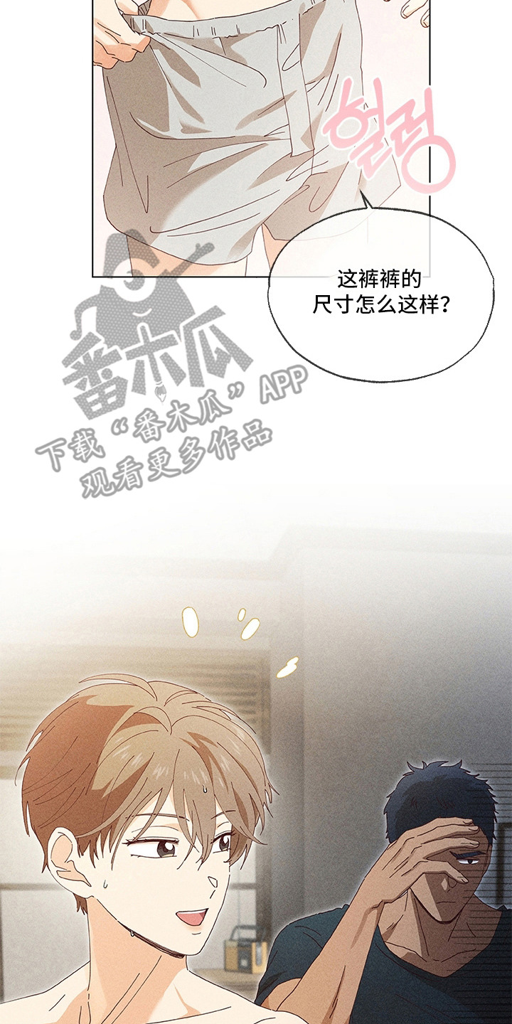 都市美男下乡记漫画,第9章：不敢直视5图