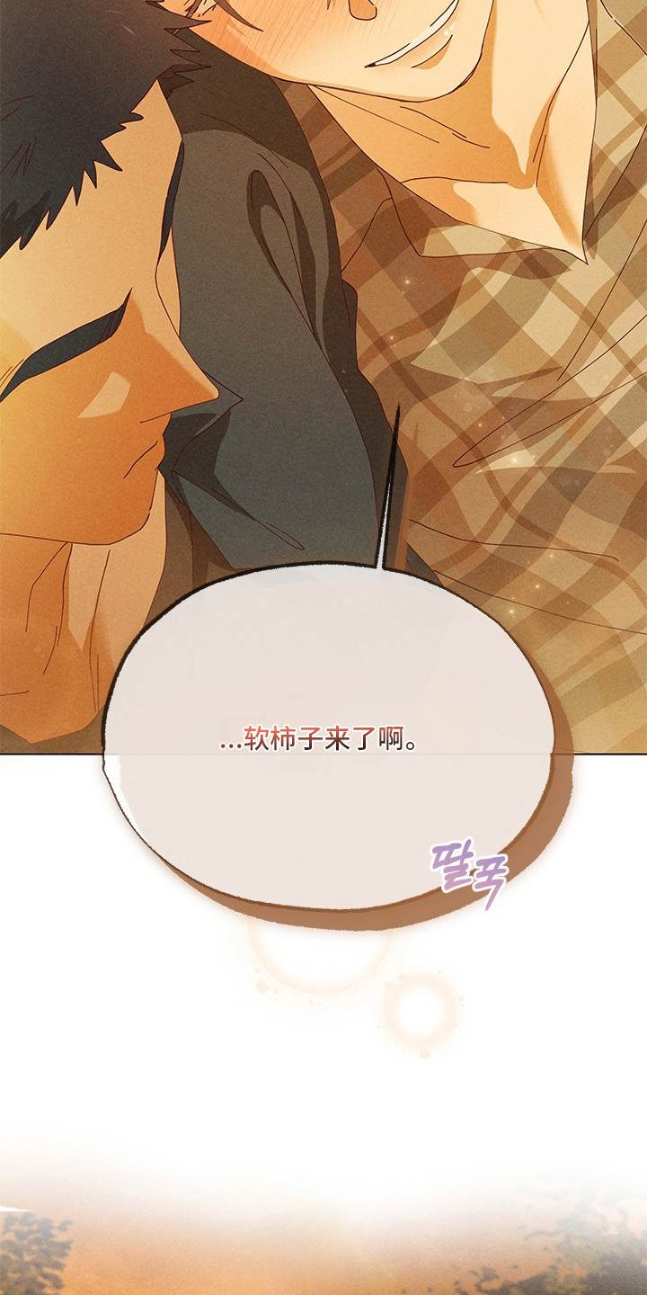 都市美男下乡记漫画,第17章：喝醉了2图