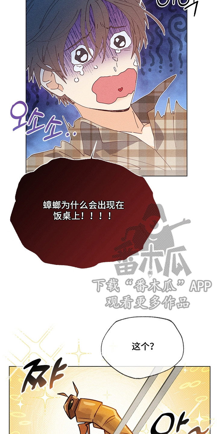 都市美男下乡记漫画,第16章：酒席2图