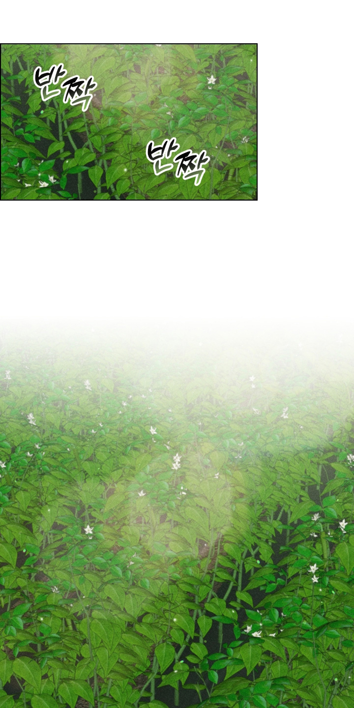 第22章：再也没有找我3