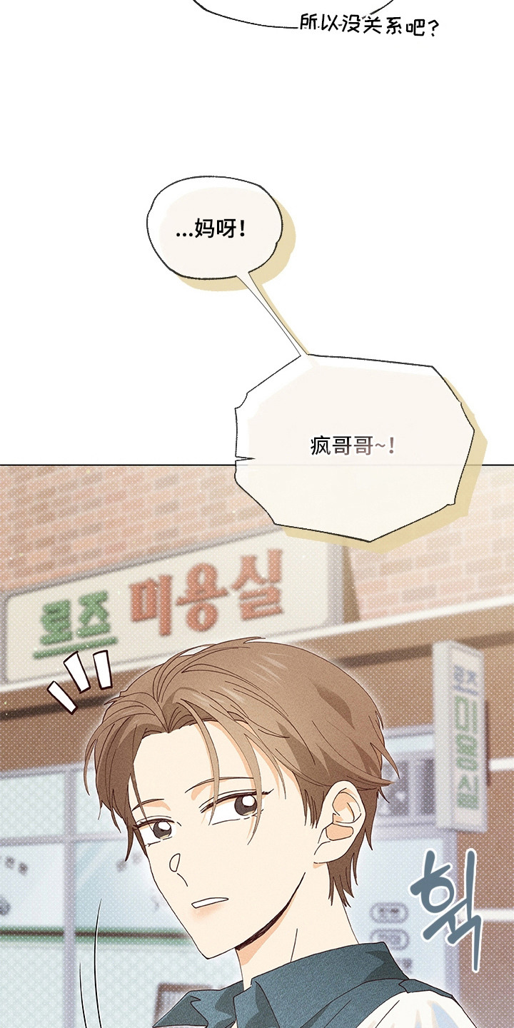 都市美男下乡记漫画,第13章：集镇2图