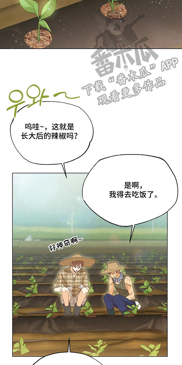 都市美男下乡记漫画,第16章：酒席3图