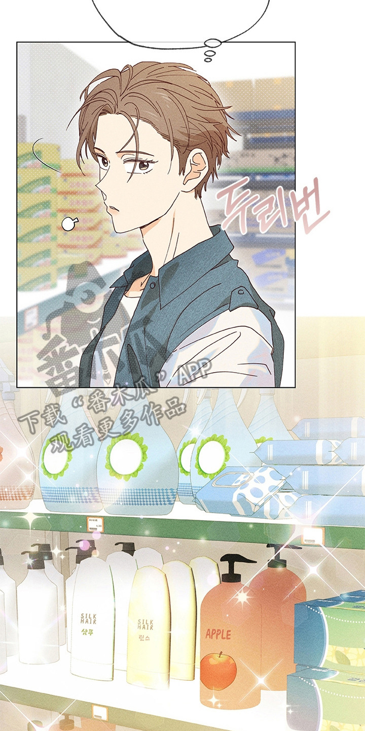 都市美男下乡记漫画,第13章：集镇4图