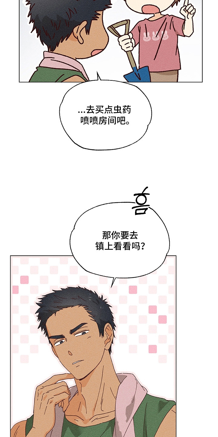 都市美男下乡记漫画,第13章：集镇1图
