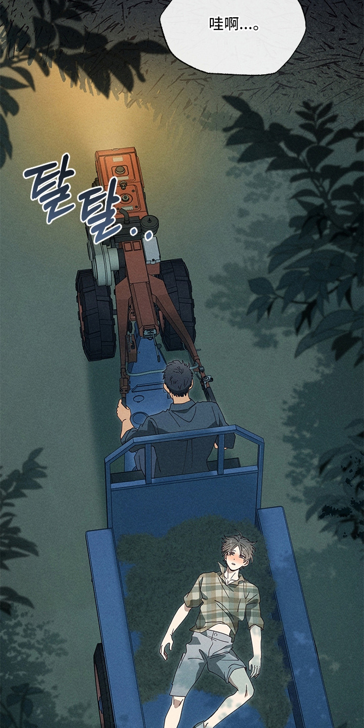 都市美男下乡记漫画,第17章：喝醉了1图