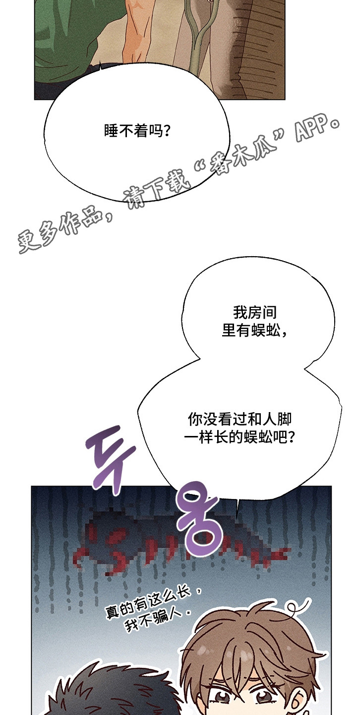 都市美男下乡记漫画,第13章：集镇5图