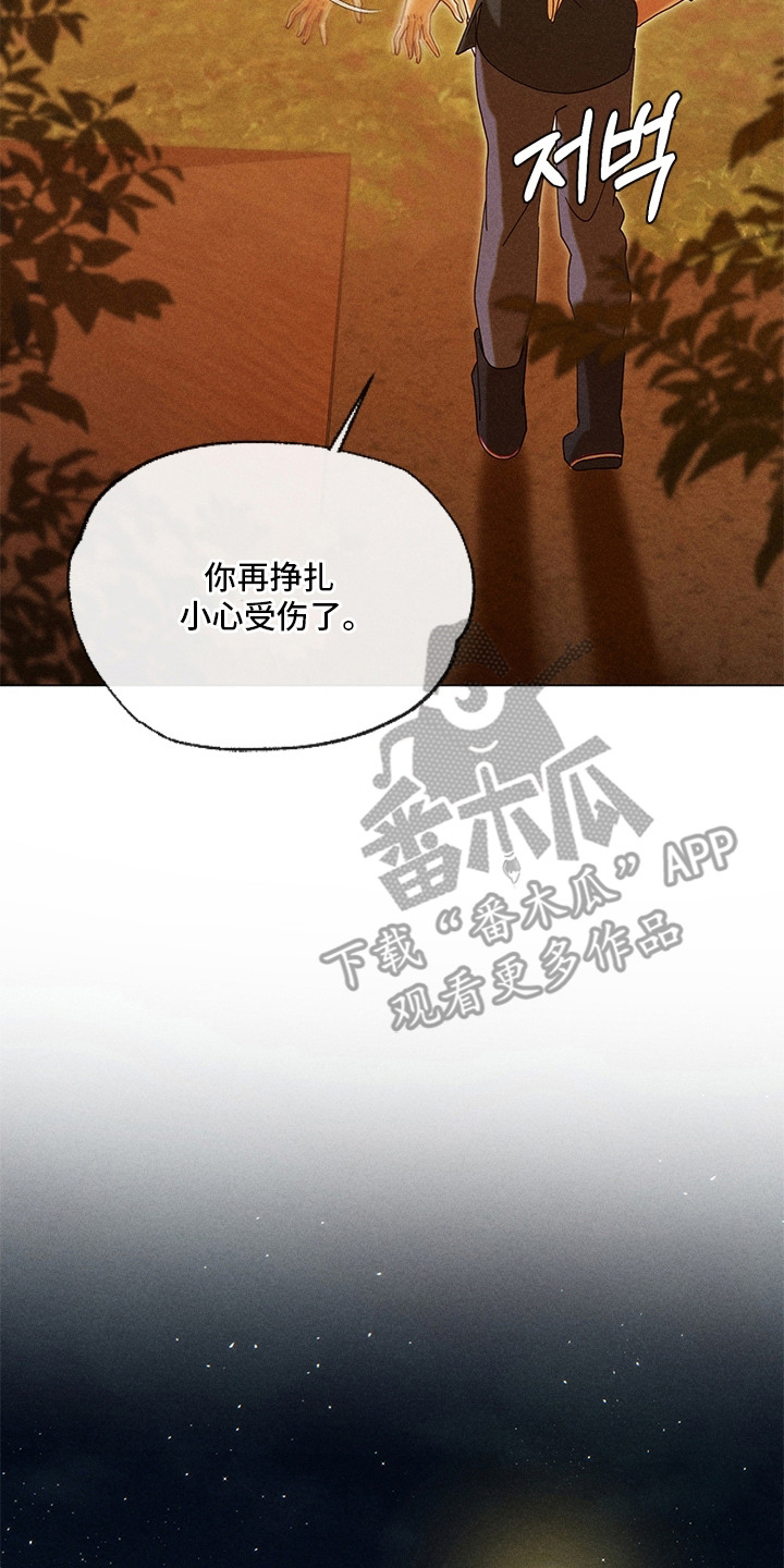 都市美男下乡记漫画,第17章：喝醉了4图