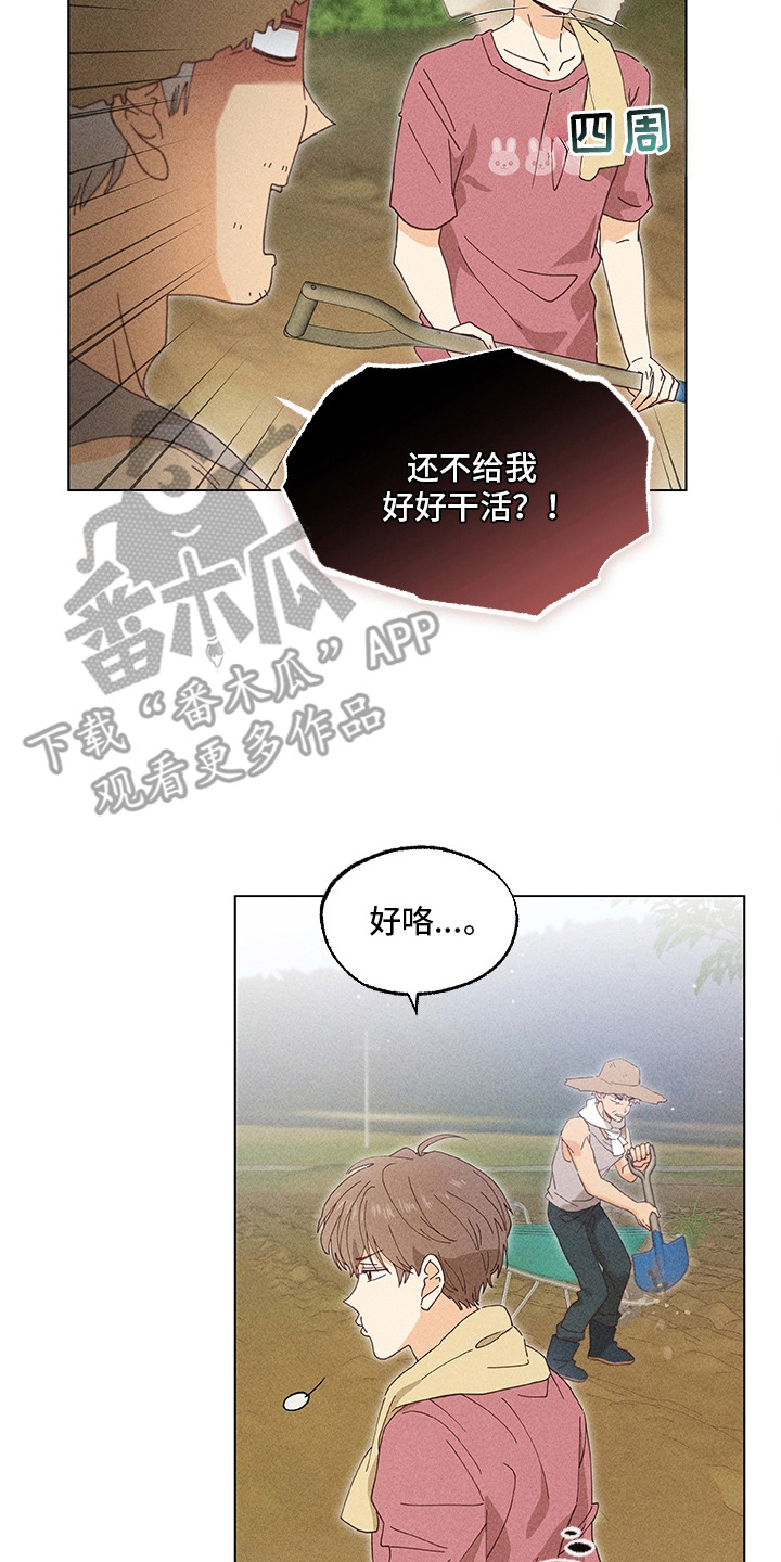 都市美男下乡记漫画,第11章：幻想4图