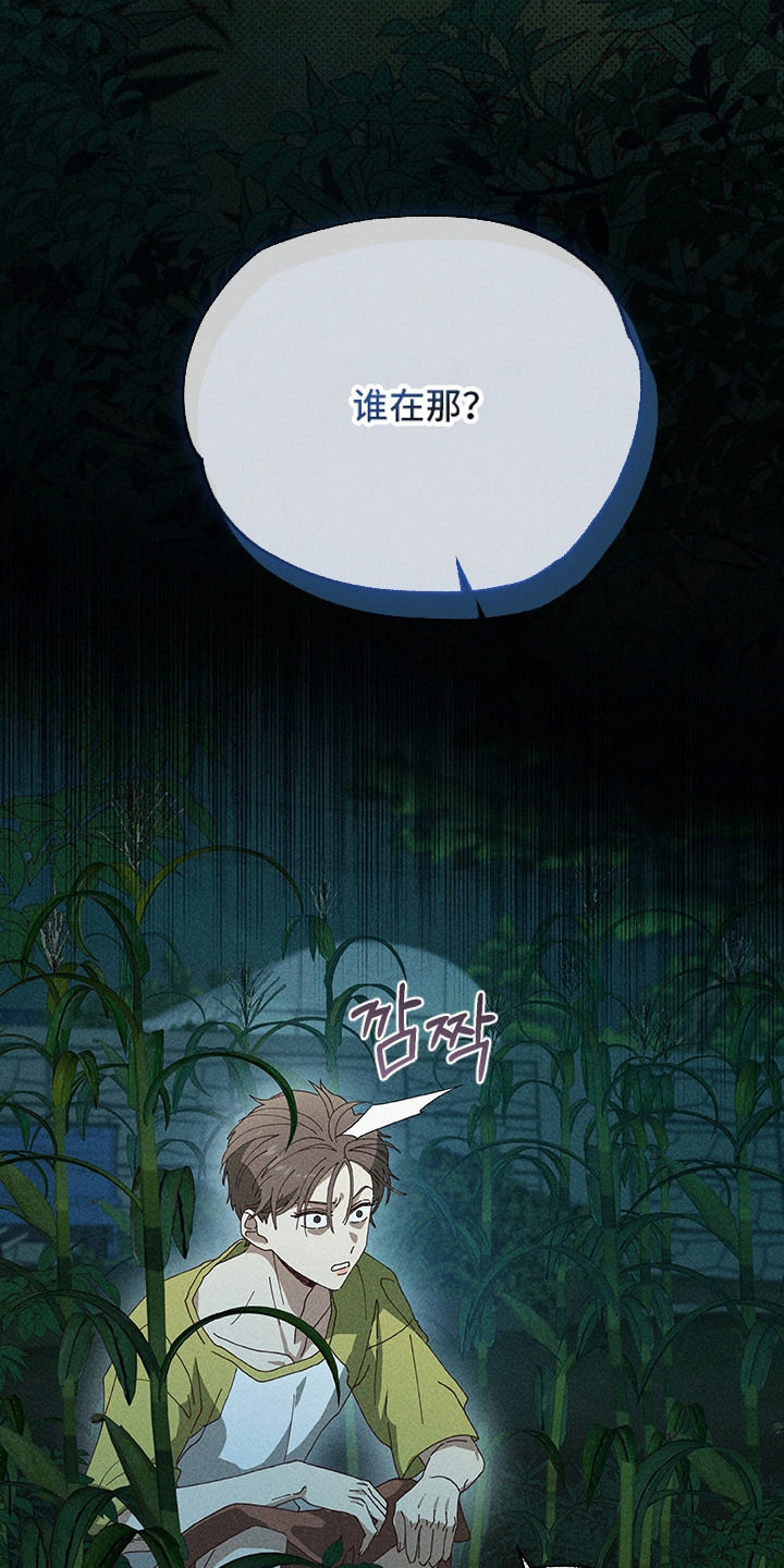 都市美男下乡记介绍漫画,第4章：没带纸2图