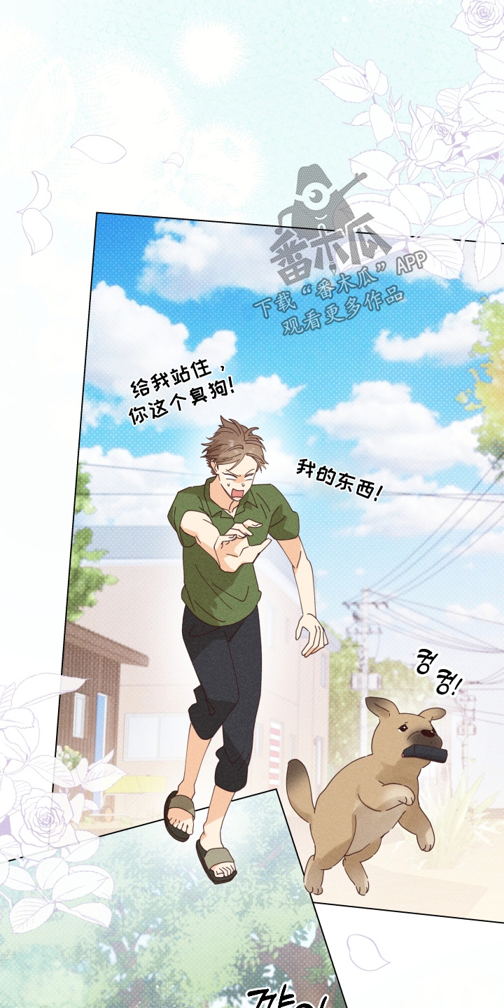 第22章：再也没有找我2