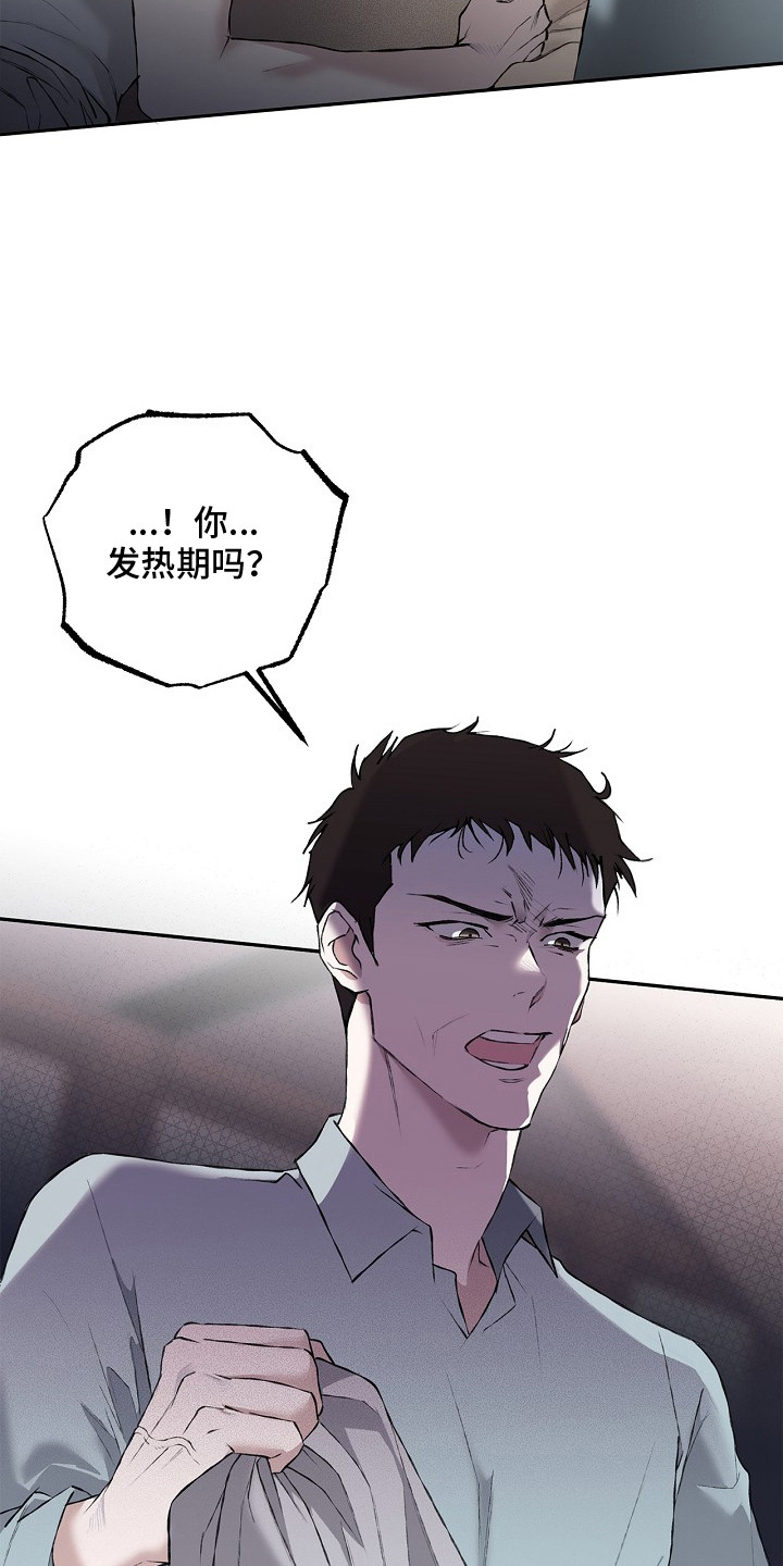 恋爱偏差值漫画,第11章：发热期4图
