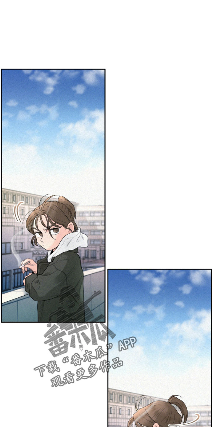 你是我的可爱卡比漫画,第8章：离家出走2图