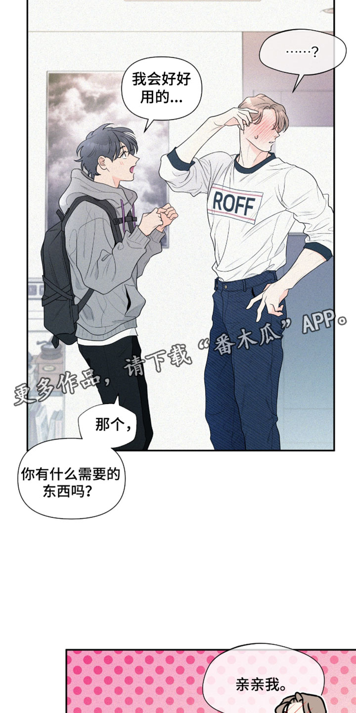 你是我的可爱卡比漫画,第14章：情侣包1图