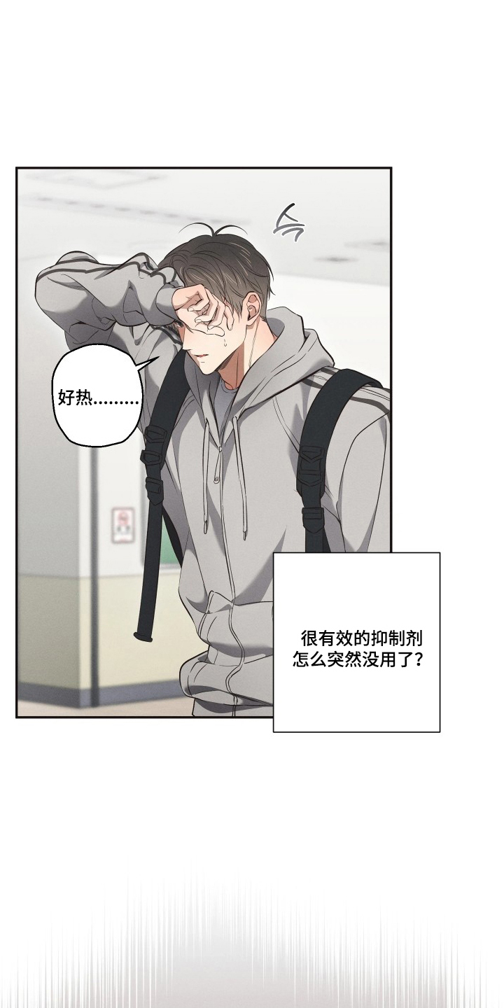 《重逢必修课》漫画,第12章：不会有任何打击2图