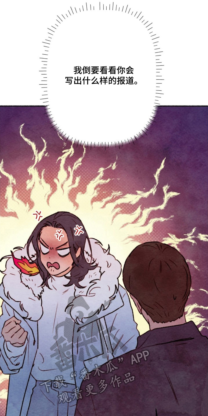 枕边絮语漫画,第19章：怎么样的报道1图