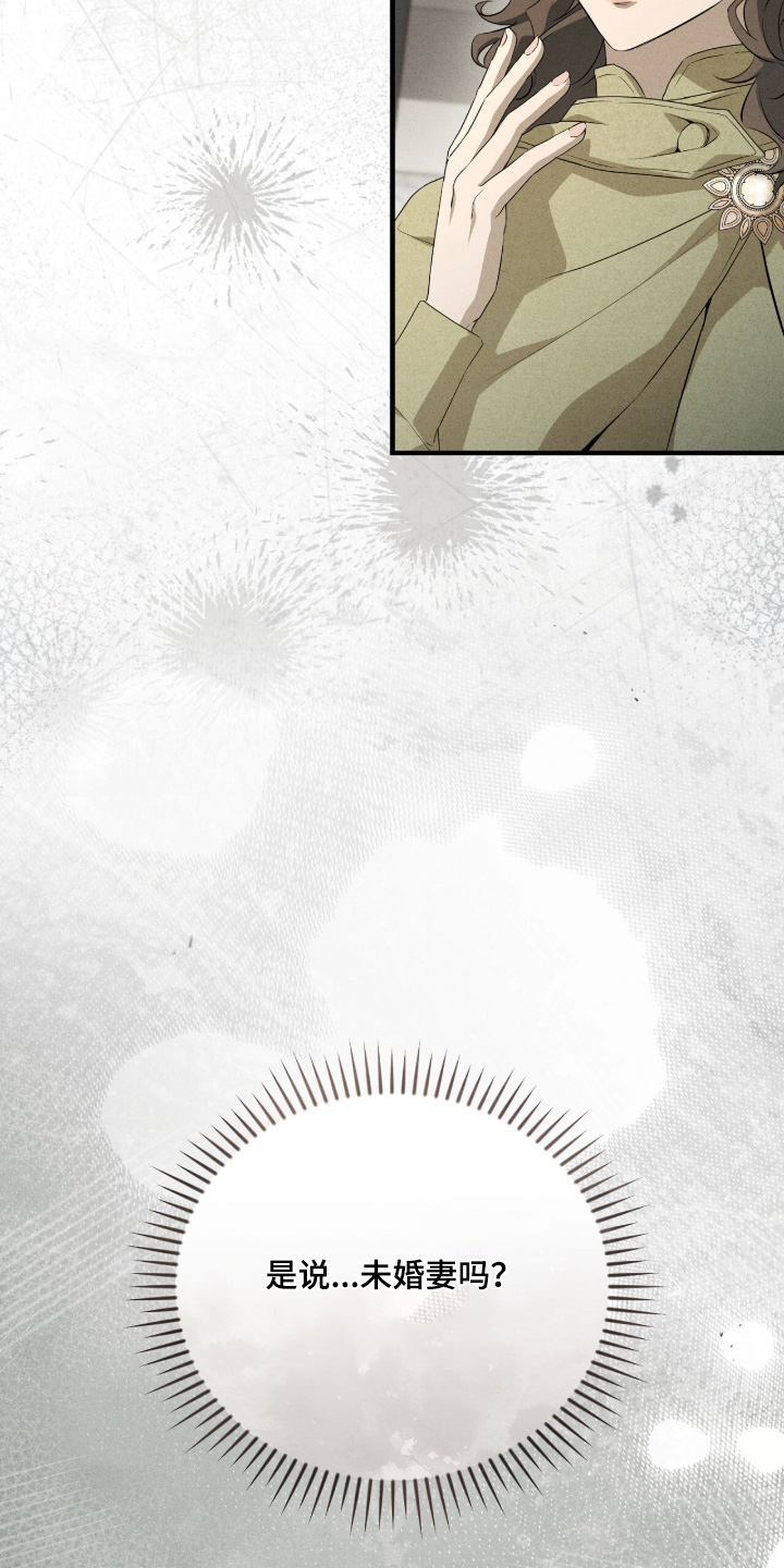 ABO标记法则漫画,第31章：他的母亲5图