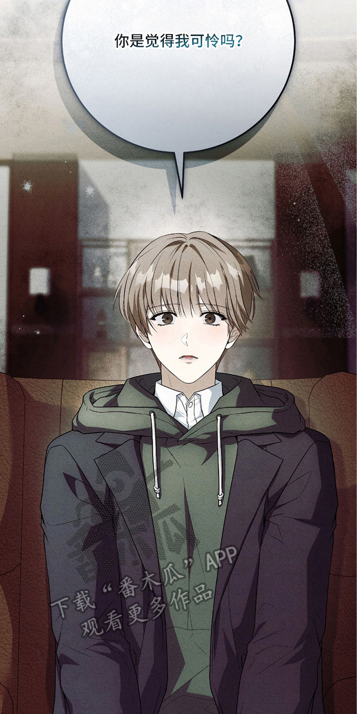 第20章：不仅是同情1