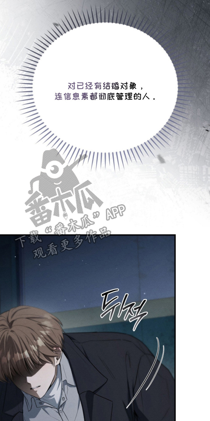 abo标记车漫画,第15章：撕碎2图