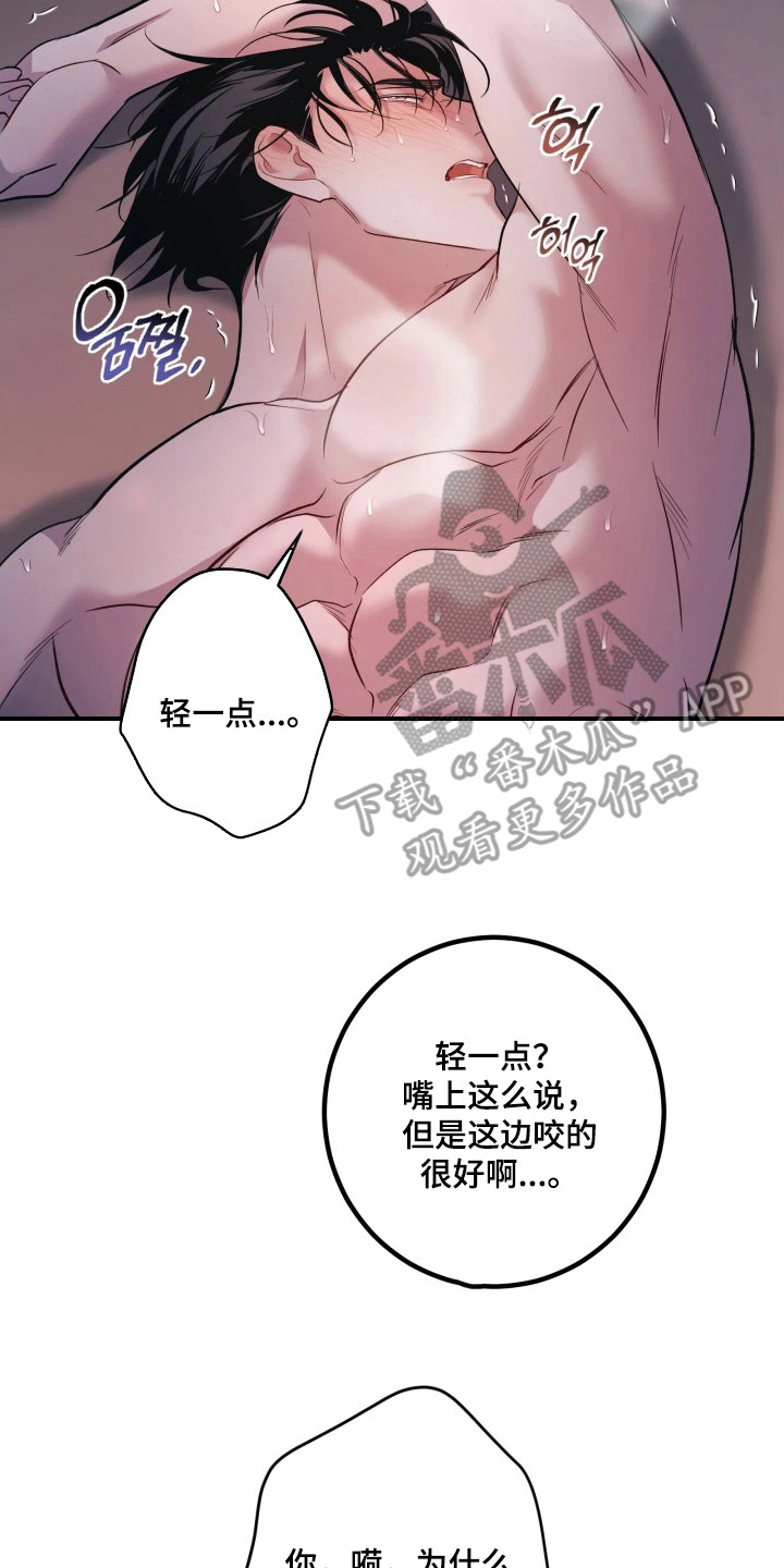 第22章：放下心4