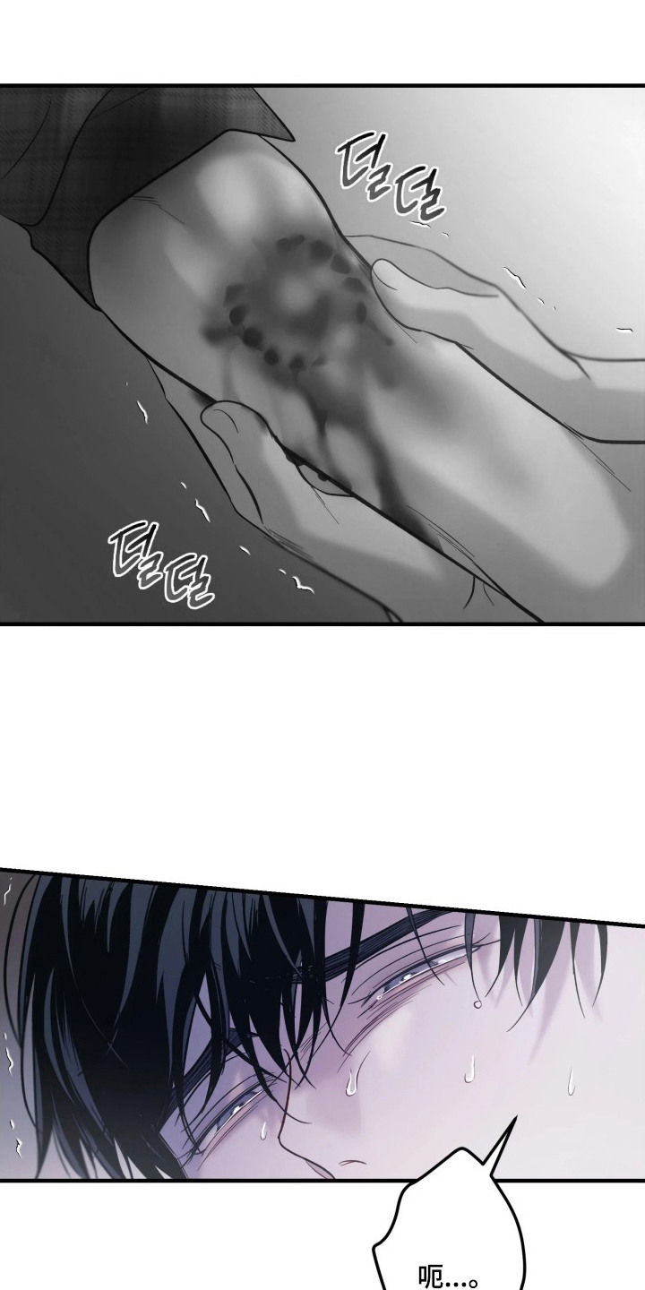 第11章：被咬了3