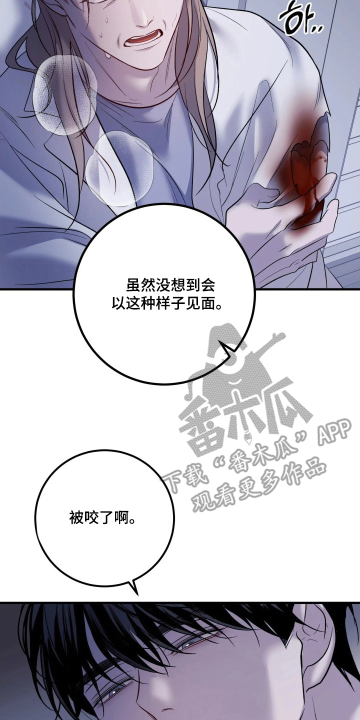 幻痛边境漫画,第20章：庆幸5图