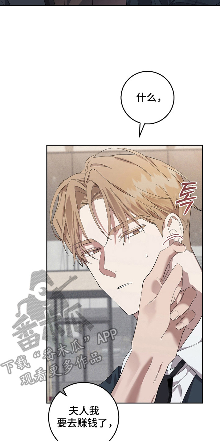 双A法则漫画,第19章：傻乎乎2图