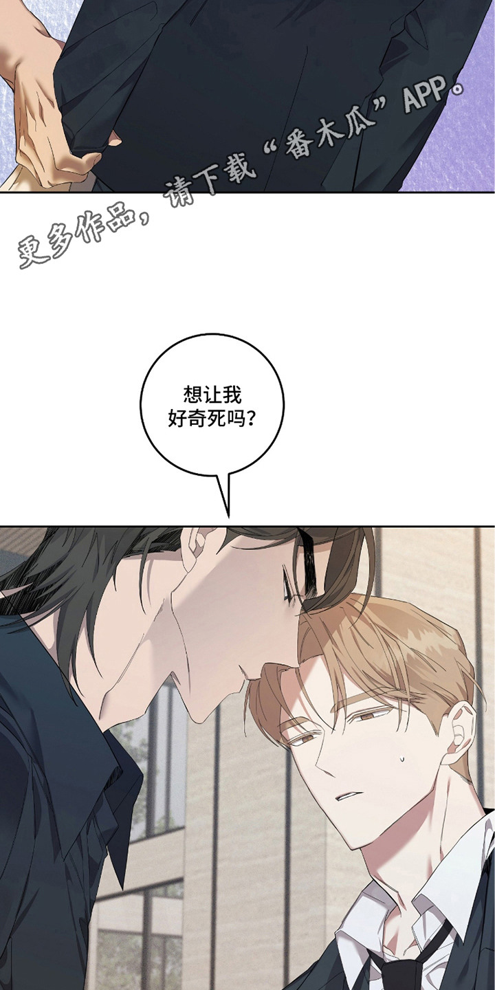 双A法则漫画,第19章：傻乎乎4图