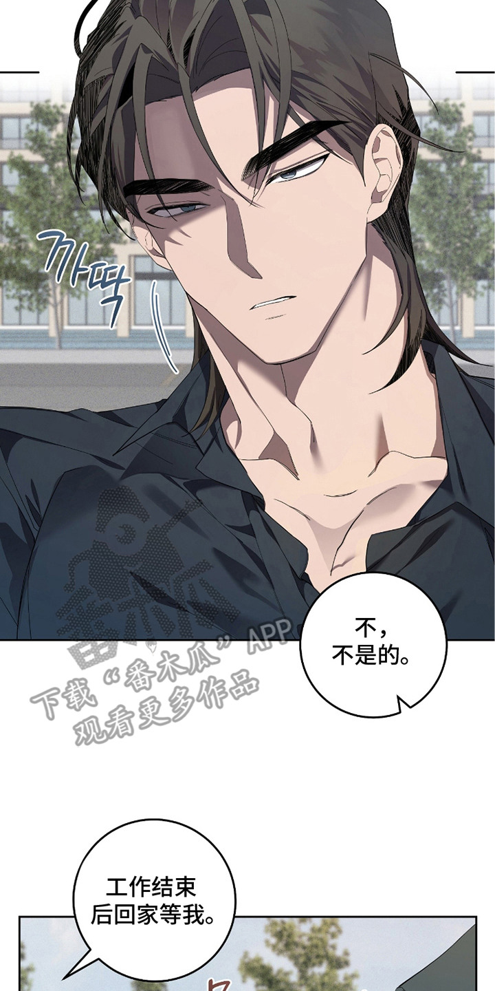 双A法则漫画,第19章：傻乎乎3图