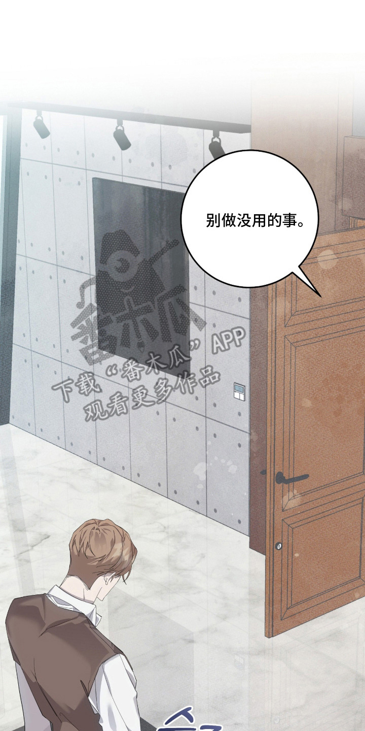 双A法则漫画,第14章：犯了错1图