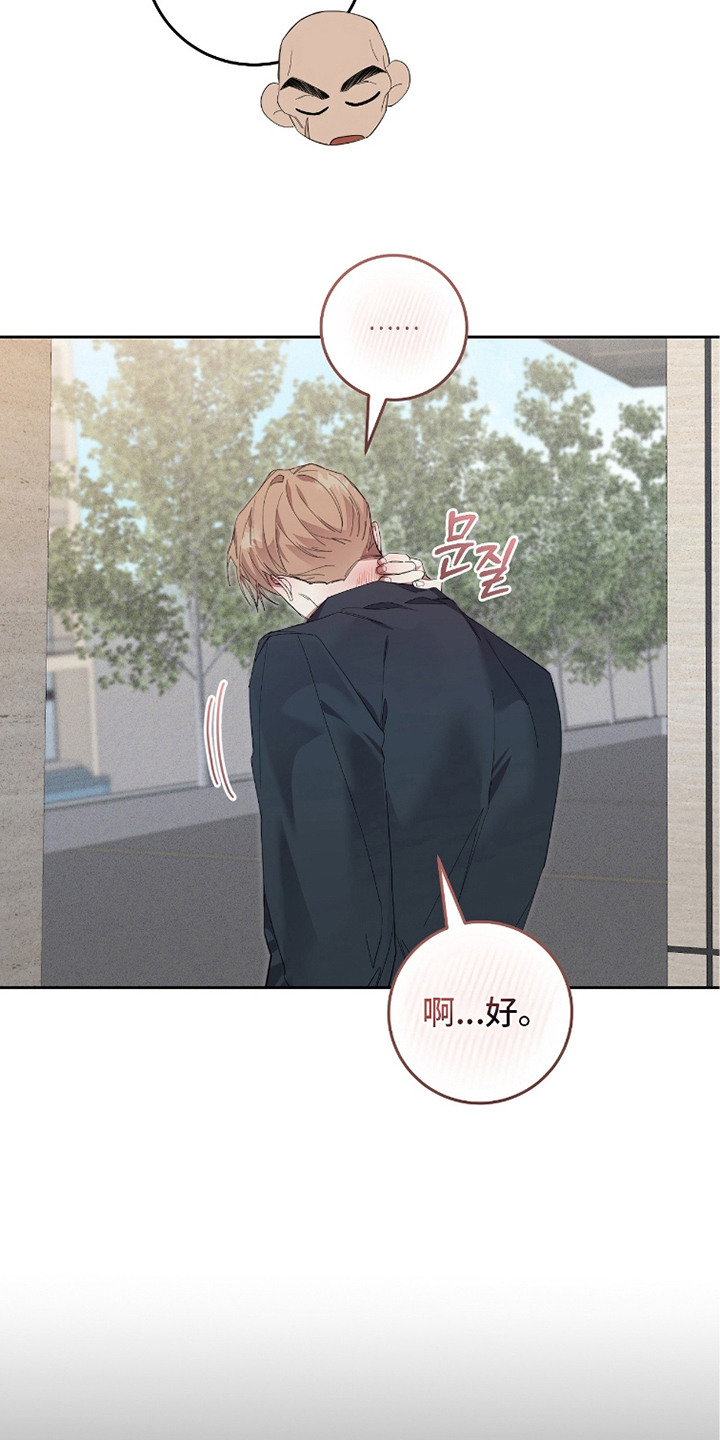 双A法则漫画,第19章：傻乎乎4图