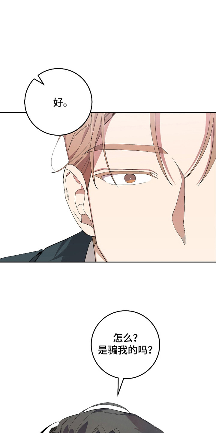 双A法则漫画,第19章：傻乎乎2图