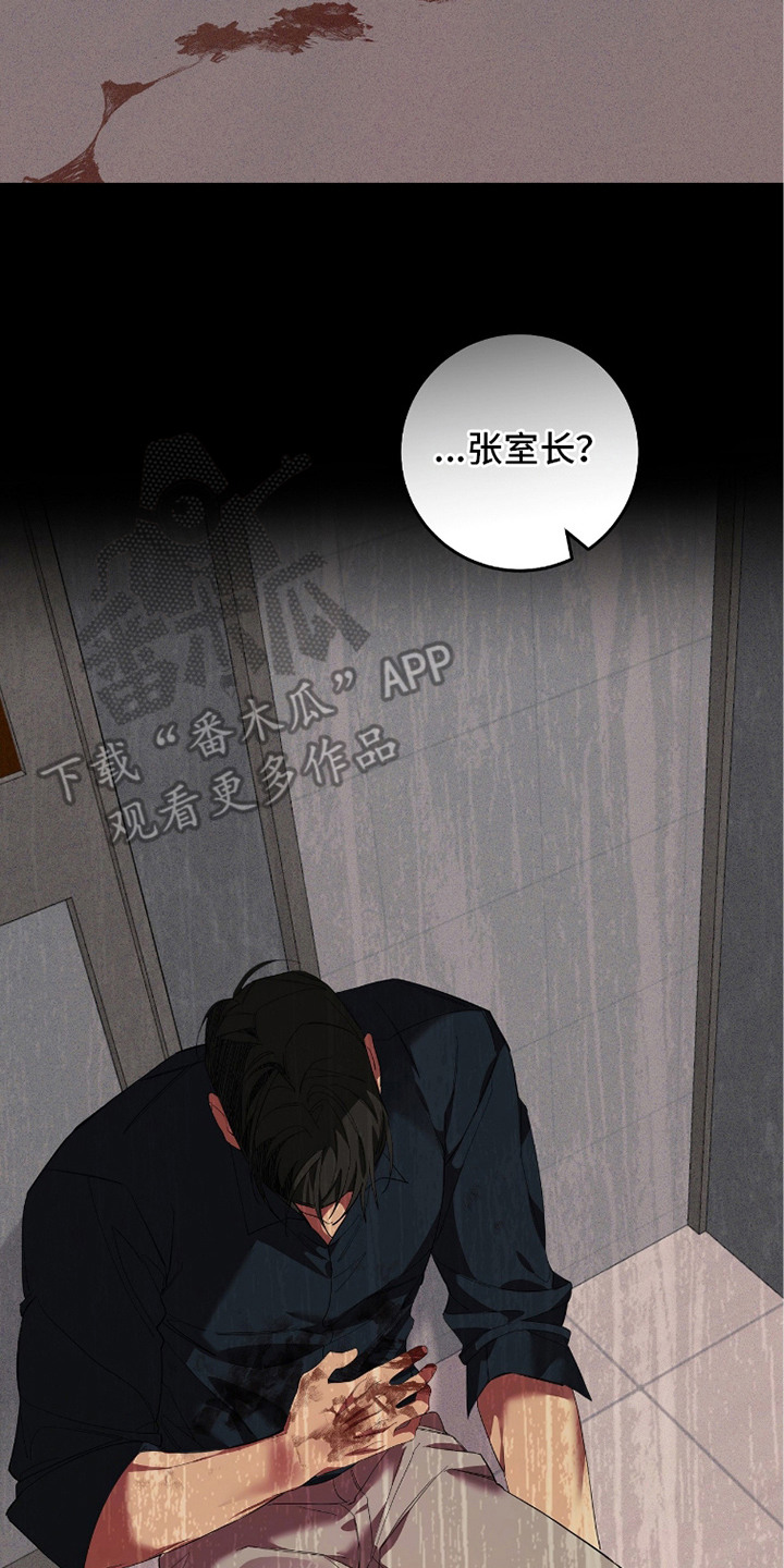 双A法则漫画,第19章：傻乎乎1图