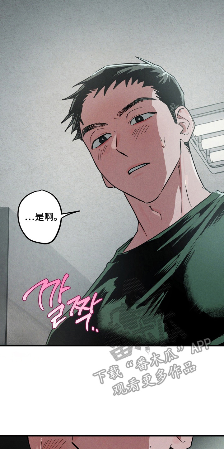 室友买的苹果电脑漫画,第12章：撩拨4图