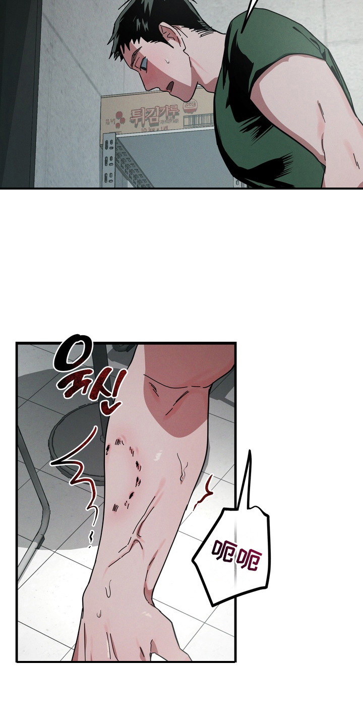 室友买的苹果电脑漫画,第12章：撩拨3图