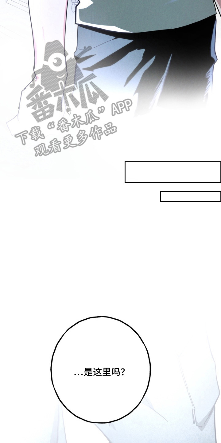 室友买的苹果电脑漫画,第14章：山上5图