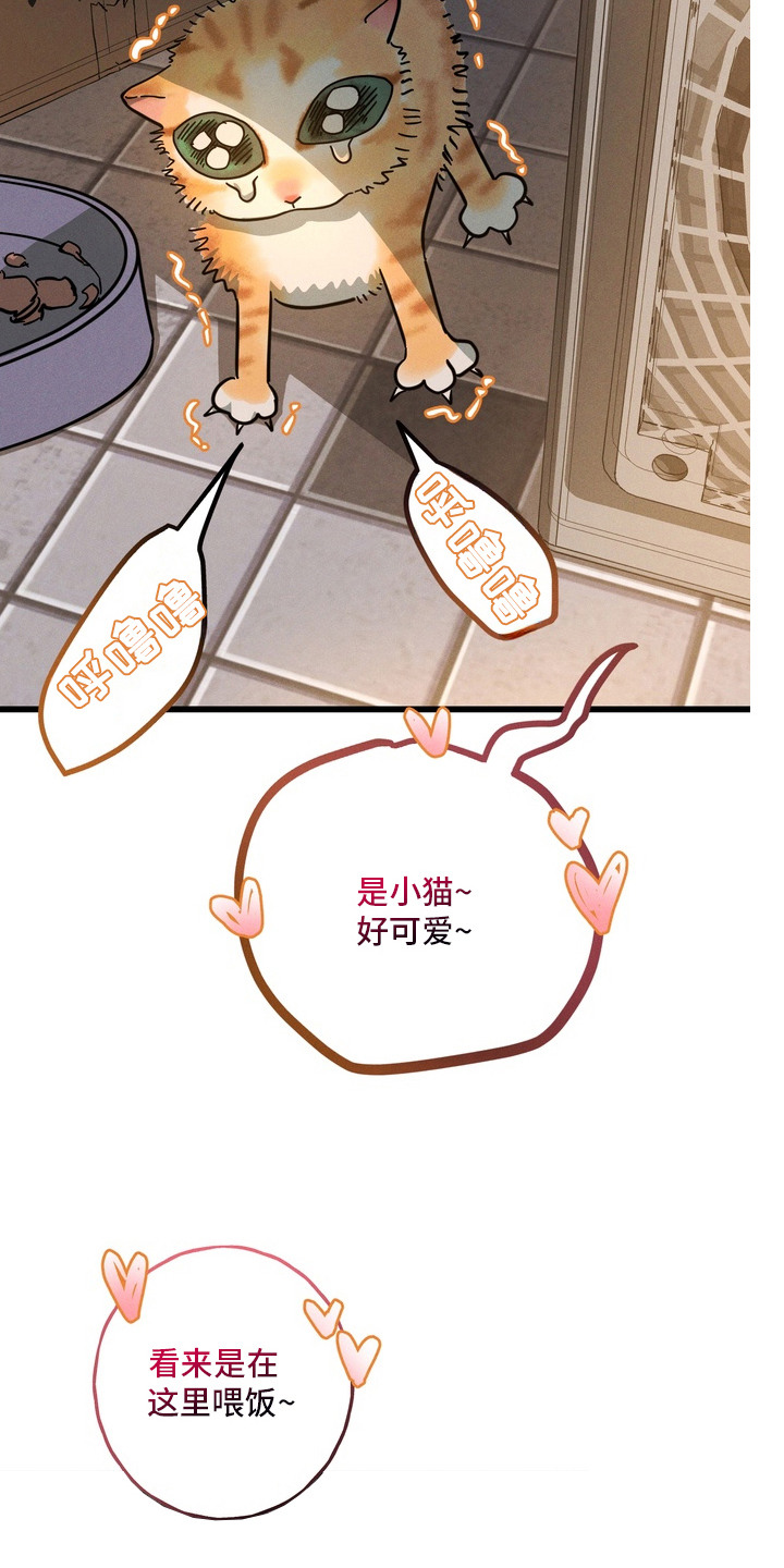 室友买的苹果电脑漫画,第11章：猫薄荷2图