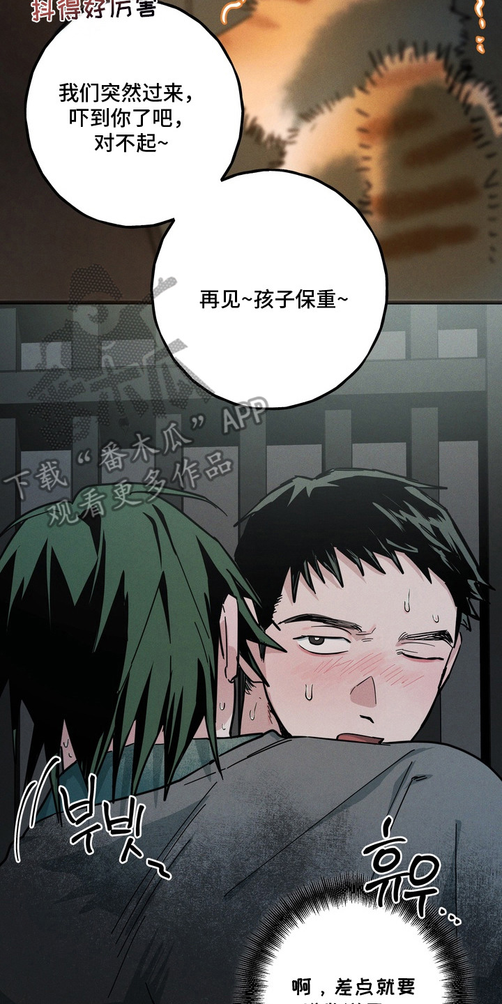 室友买的苹果电脑漫画,第11章：猫薄荷5图