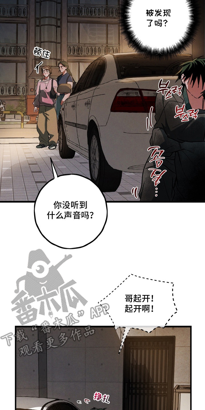 室友买的苹果电脑漫画,第11章：猫薄荷2图