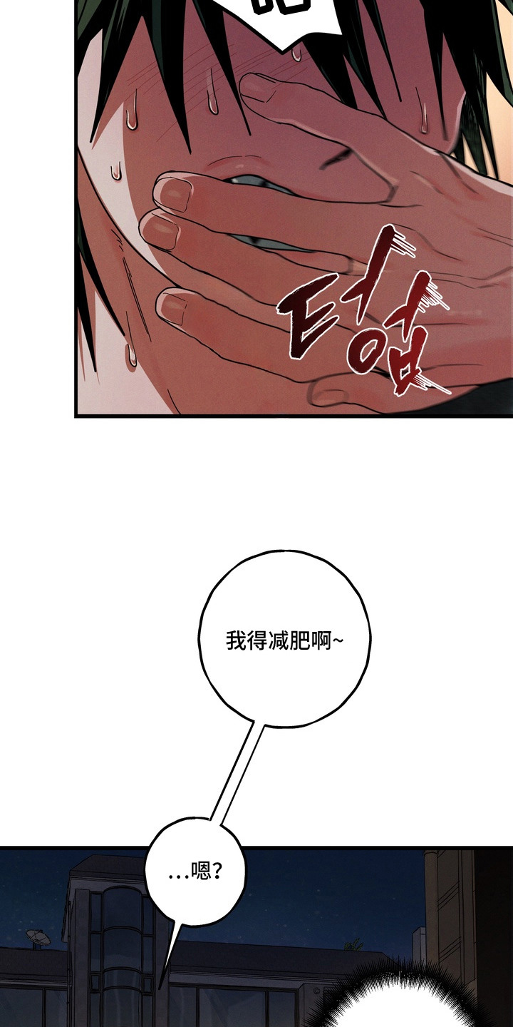 室友买的苹果电脑漫画,第11章：猫薄荷1图