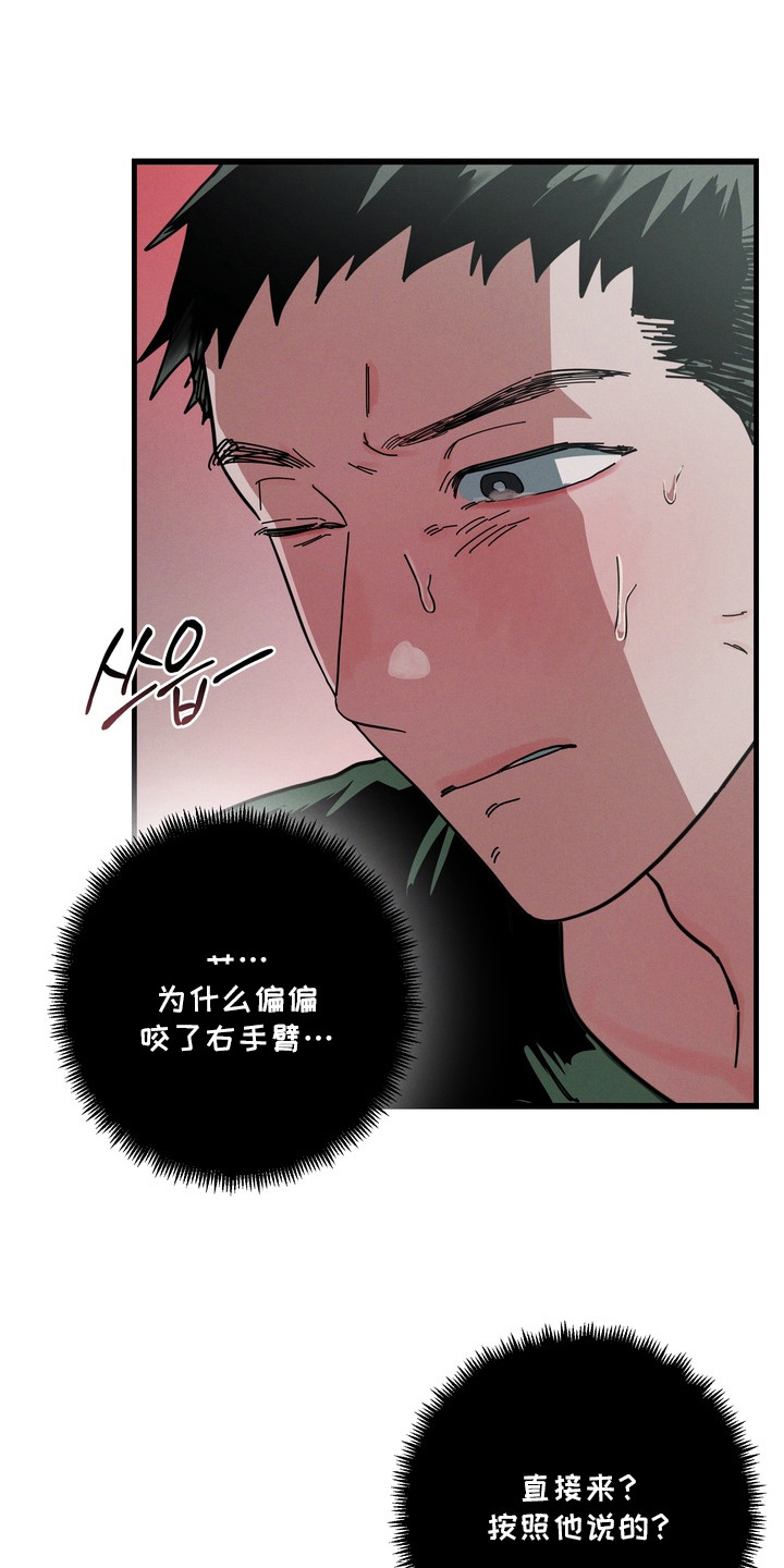 室友买的苹果电脑漫画,第12章：撩拨4图