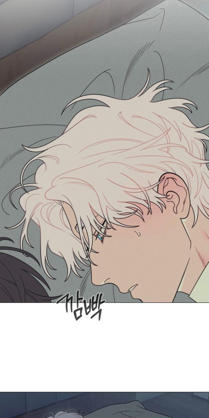 洁癖君与失眠者在哪看漫画,第4章：失眠症5图