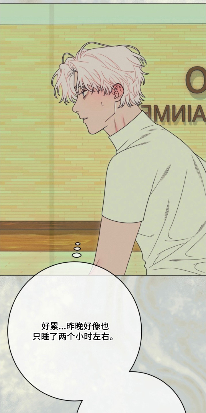 洁癖君与失眠者在哪看漫画,第4章：失眠症1图