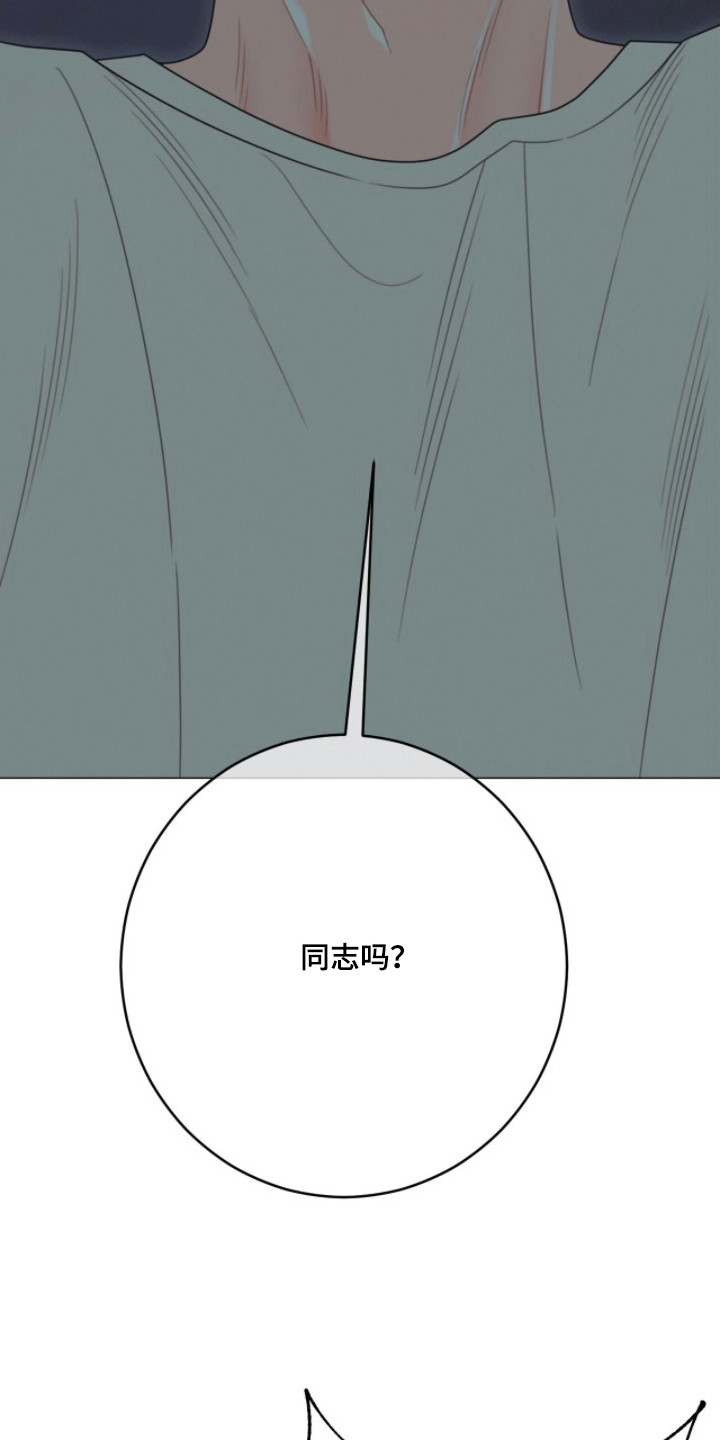 洁癖君与失眠者漫画,第5章：体味很淡1图