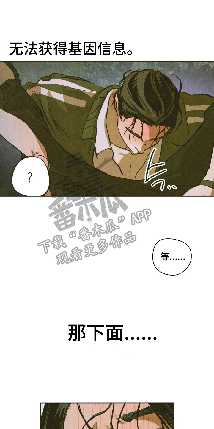 神的使用方法在哪里看漫画,第4章：分析1图