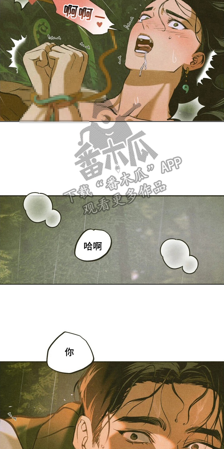 神的使用方法在哪里看漫画,第4章：分析5图