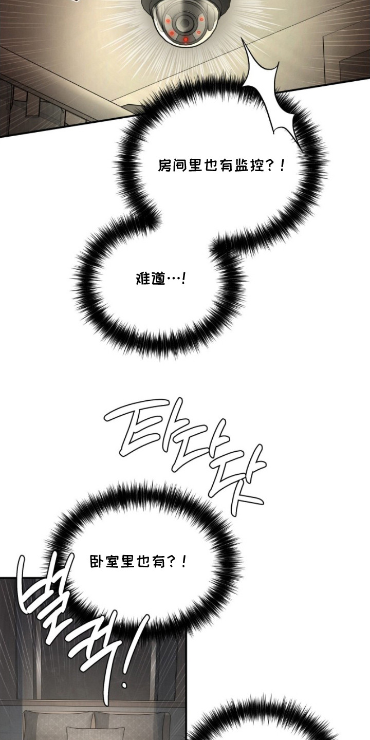 致命伪装免费全集漫画,第10章：监控3图