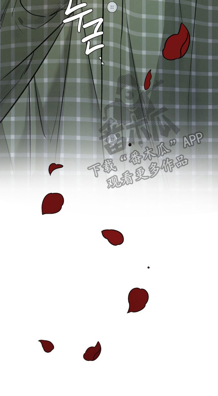 致命伪装漫画,第6章：接机5图