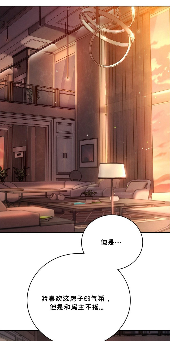 致命伪装角色关系深度解读漫画,第16章：不搭5图